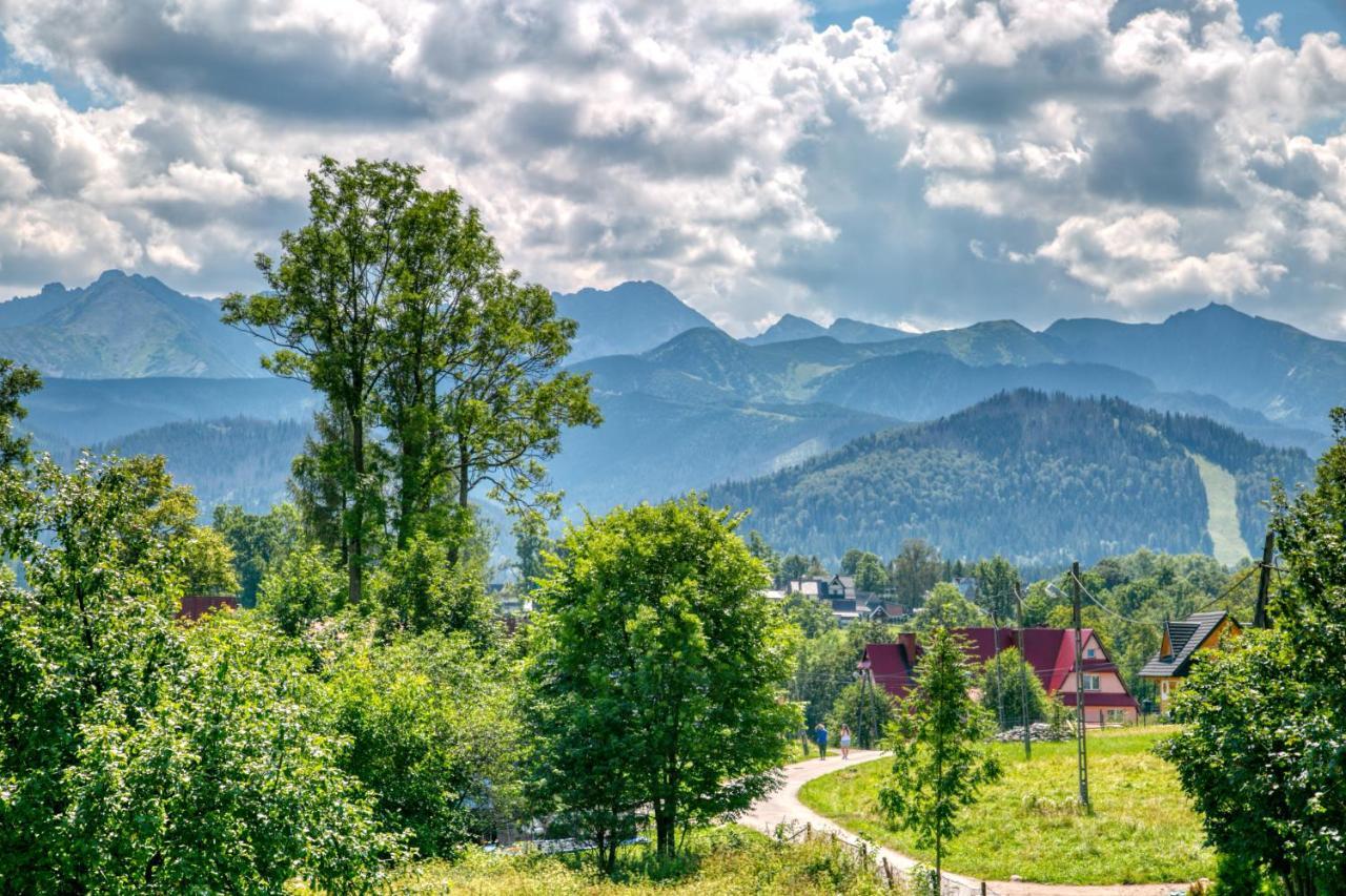 Apartament Goralska Ostoja Prywatne Wejscie Widok Na Tatry 자코파네 외부 사진